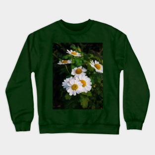 daisy Crewneck Sweatshirt